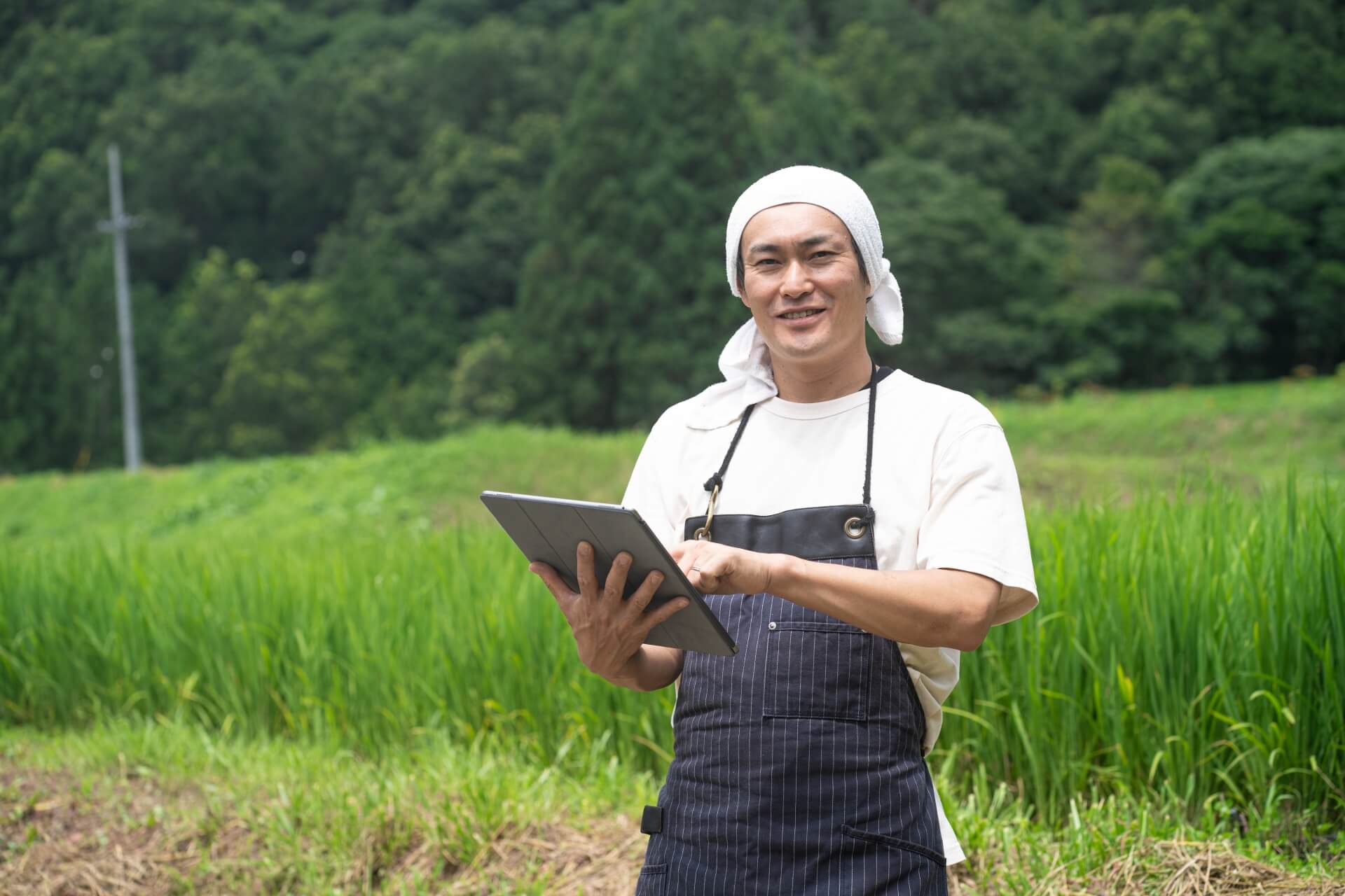 smart agriculture